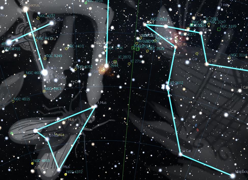 CONSTELLATION OF THE MONTH - CARINA Observing targets: The Wishing Well Cluster NGC 3532 Carina Nebula - NGC 3372 Carina is the keel of the ancient Argo Navis constellation which was the ship that
