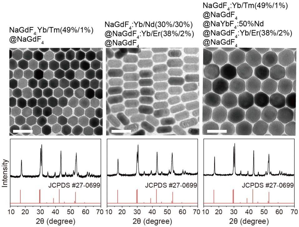Fig. S4 TEM images and XRD patterns of the nanotaggants in Fig. 4.