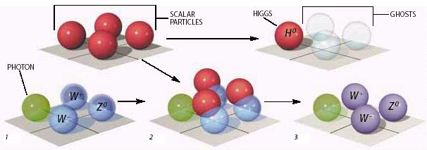 Standard Model Summary Local Gauge Invariance Higgs