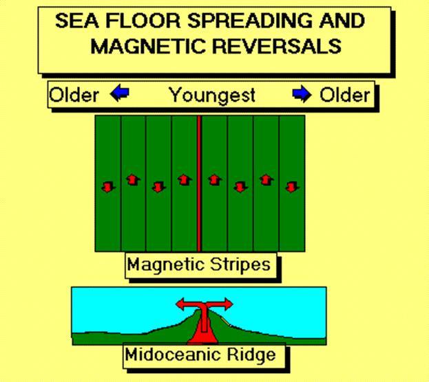 3. Younger is formed at the center, older rock is found further away.