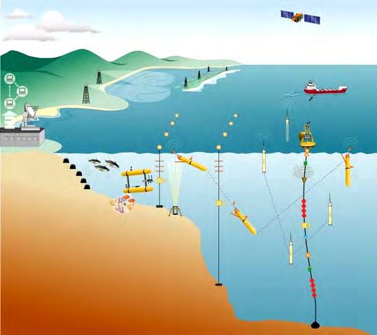 Coastal Ocean Observing System (COOS) HF radar, ADCP, Wave Buoys AUV, Glider, Floats