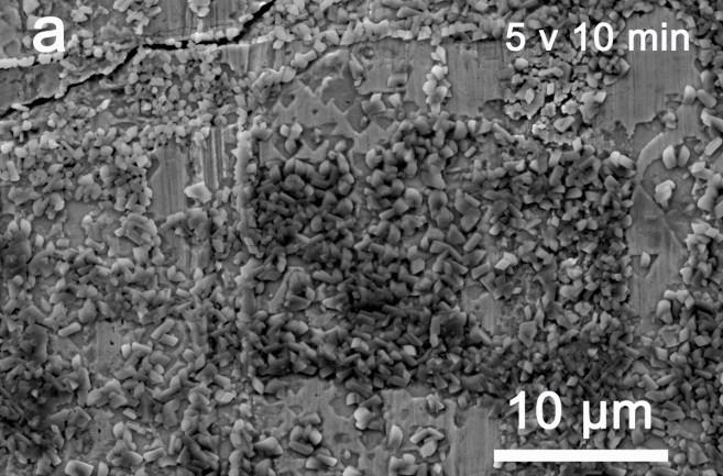 Figure S1. SEM images of the as-anodized tin foils treated in a glycerol (containing 3 vol.