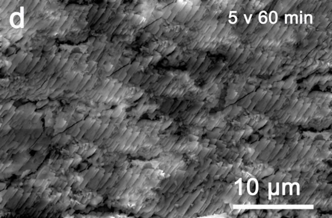 Rectangular nanosheets of ~ 500 nm wide were observed at 30 min, which grew into a self-assembled