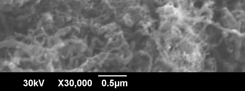 Furthermore, the surface of the MWCNT-imprinted polymer was thick due to the covering by the EGDMA-crosslinked methacrylic acid polymer. Figure 5.