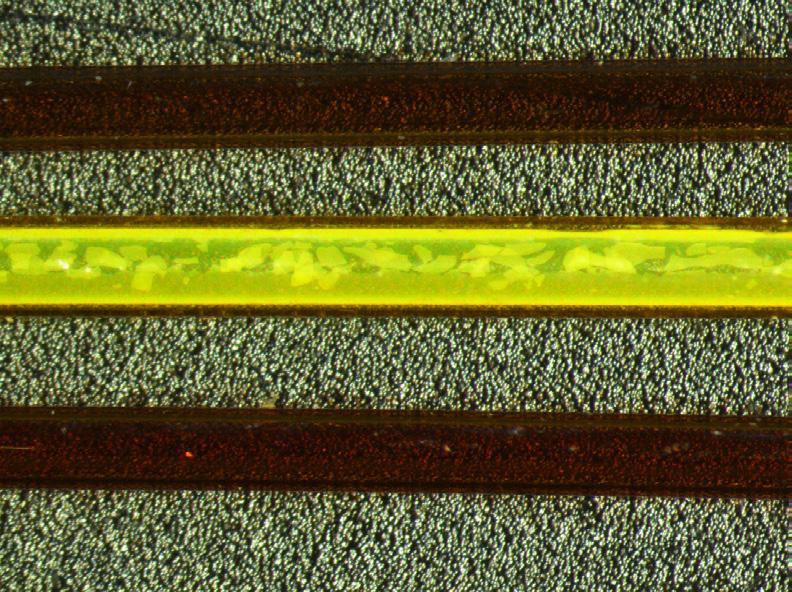 Figure shows a magnified picture of three fused silica columns.