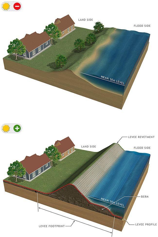 Artificial Levee Artificial levees earthen embankments, often built on top of natural levees