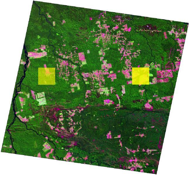 100 km The resulting validated maps of period 1990-2000 are used as input for the process of updating the forest cover for the year 2010 through object-based image analysis (OBIA) of new imagery