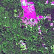 Top: example of the distribution of two sample sites (yellow tiles, size 20km x 20km) within a Landsat 7 TM scene (Path-Row 228-67) of year 2000.