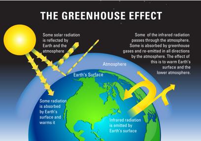 The Greenhouse Effect Long wave radiation absorbed by carbon dioxide and emitted back to the earth.