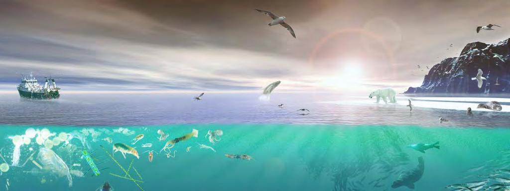 marine ecosystems; present