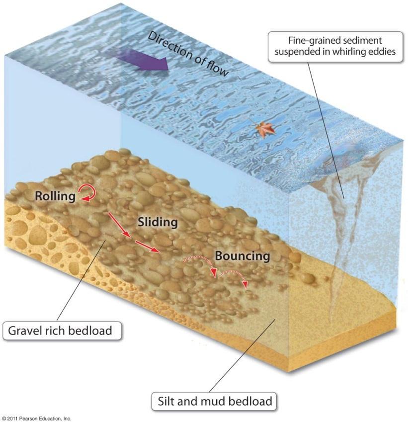 Sediment Transport Loads Bedload, is dragged, rolled, skipped, or bounced over the river bottom the latter is referred to as the process of saltation Finer particles carried along in the river water