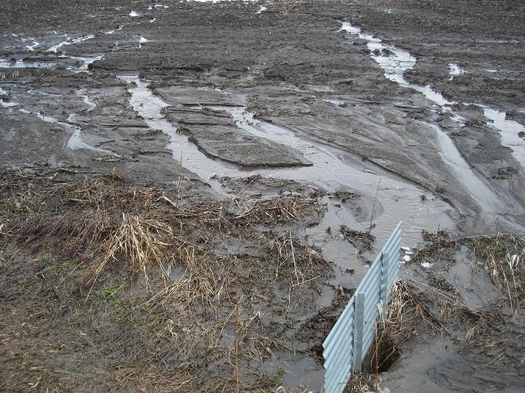 What is driving the risk of runoff?