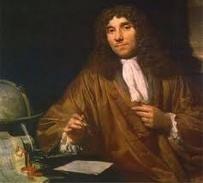 Anton van Leeuwenhoek late 1600 s Leeuwenhoek made many simple