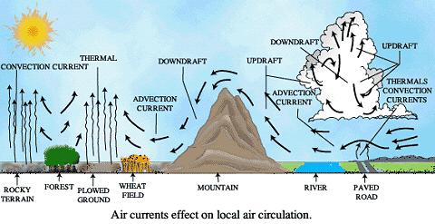 How is wind a major factor of weather? A. Wind is responsible for carrying heat and moisture throughout the atmosphere: 1. WIND: horizontal (side to side) movement of air a.