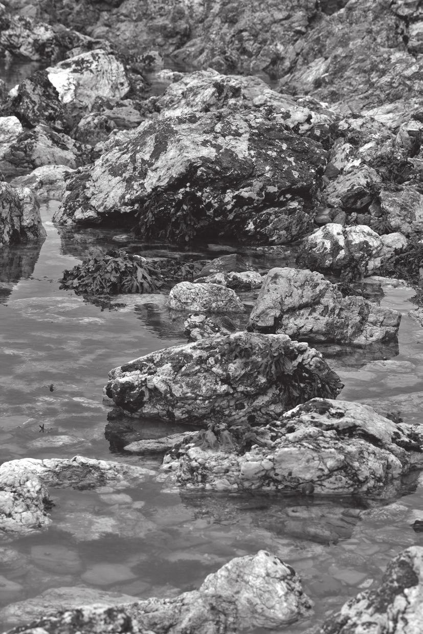 14 7 (a) Fig. 7.1 shows a tide pool (rock pool) on a rocky shore. Fig. 7.1 Organisms living in pools are subjected to wave action.