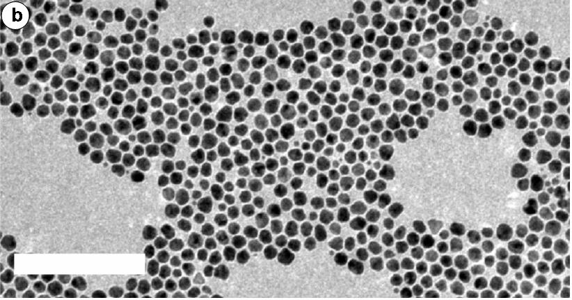 silver nanoparticles (b) FTIR-ATR spectra of the pristine self-assembled silver nanoparticles array. Figure S3.