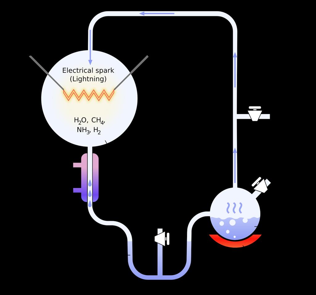 The Urey-Miller experiment demonstrated that organic molecules