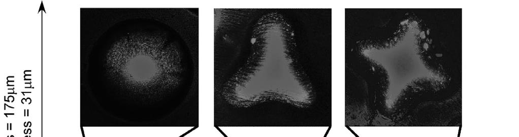 Figure 4: (a) SEM images of snapping microlens shells in concave and convex states. (b) Measured time of snap as a function of microlens shell thickness.
