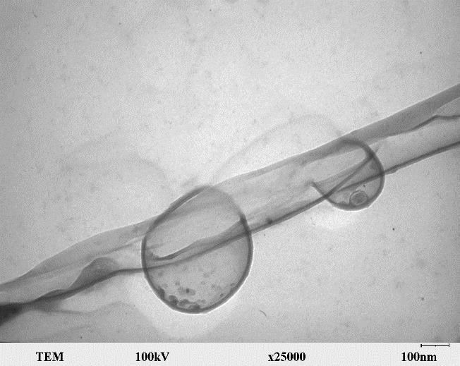 nanotubes Fig. 6.