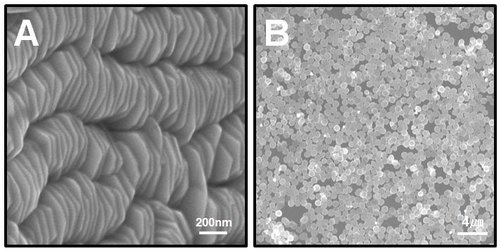 7 Figure S1 FESEM images of Au hexagonal nanoplates when (A) they are stacked and (B) dispersed.