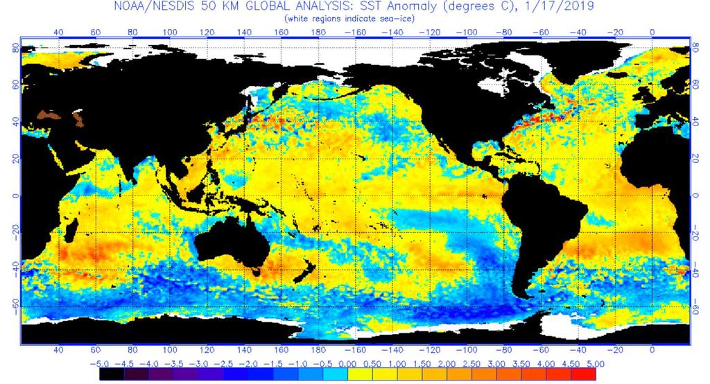 Figure 16. The latest weekly-mean global SST anomalies (ending 17 January 2019). Data from NOAA OI High-Resolution dataset. (Updated from https://www.ospo.noaa.