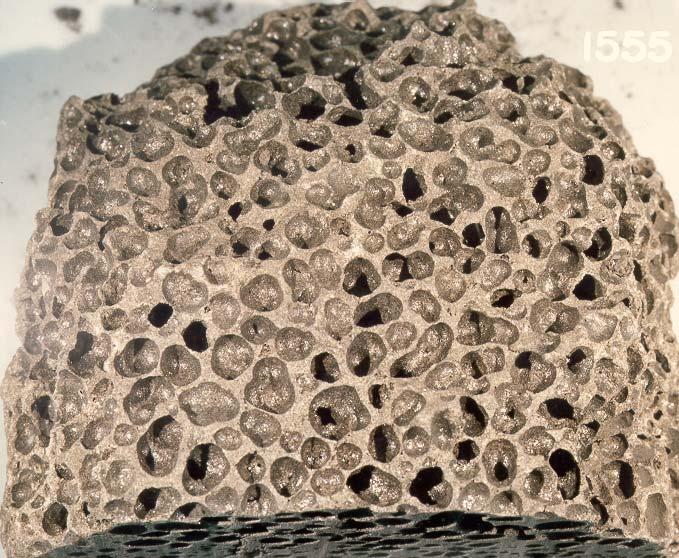 15556 Vesicular Olivine-normative Basalt 1542.3 grams Figure 1: Photo of 15556,0. Largest vesicles are about 6 mm. NASA S87-48187.