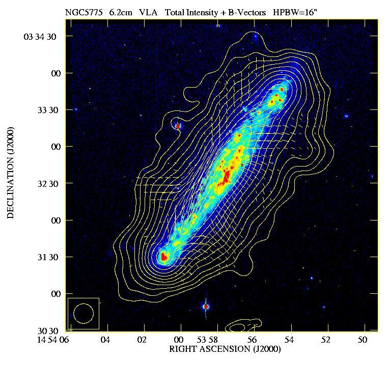 Galactic Halos and Magnetic Fields (Rainer Beck, MPIfR; ;