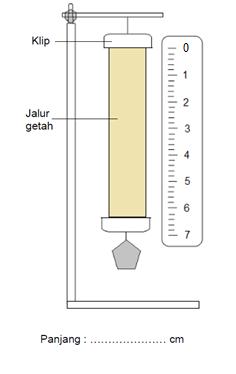 Diagram 2 below shows the length of unvulcanized rubber before, during and after the experiment when weight is removed Rajah 2 di bawah menunjukkan panjang jalur getah tak tervulkan sebelum
