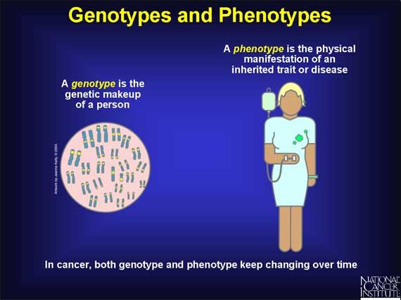 Genotype and
