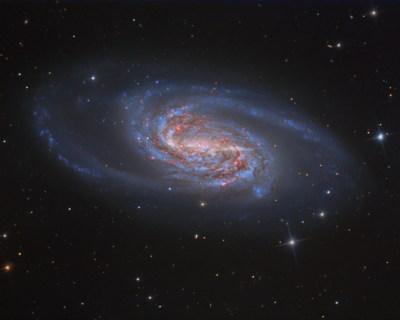 Top: Finder chart for NGC 2903.