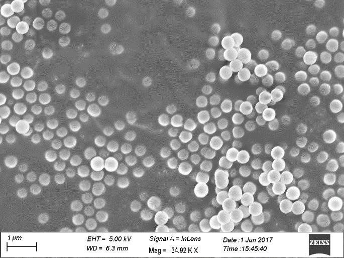 same nanoparticles. 7 Figure 5.