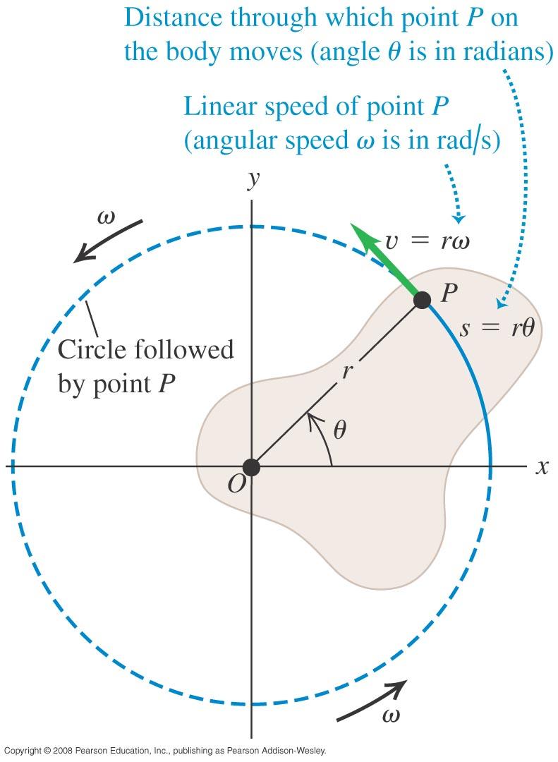 Velocity Comparison q The linear velocity is always tangent to the circular path n Called the tangential