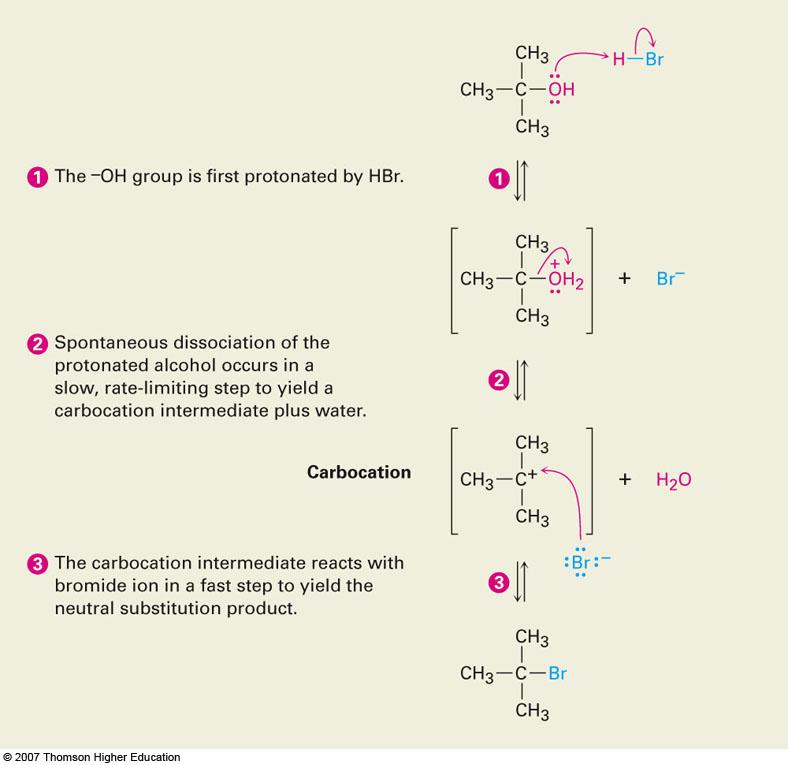 of an alcohol is protonated and leaving group is H 2 O, which is s5ll
