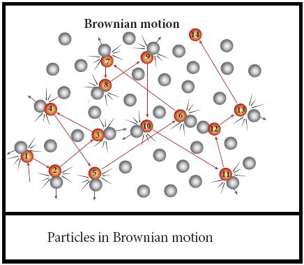 This leads to the motion of the particles in a random and zig In 1827, Robert Brown, a botanist reported that grains of pollen suspended in a liquid moves randomly from one place to other.