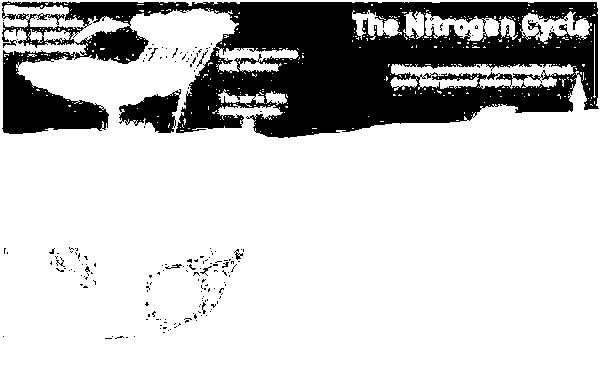 To be harnessed by plants, nitrogen must combine first with oxygen to form nitrates ( - NO 3 ).