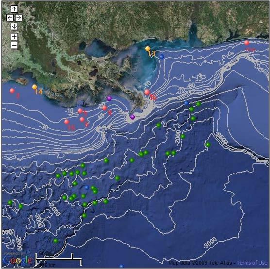 Fig. 1 Location map of WAVCIS stations and the MMS mandated ADCP platforms along northern Gulf of Mexico As part of the expansion of our ocean observing program, we have also implemented a suite of