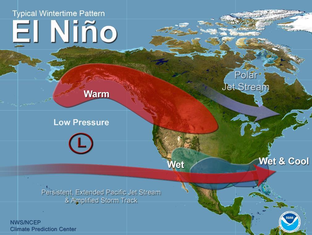 El Niño Winter Teleconnections El Niňo typically causes subtropical jet to be active over southern U.S.