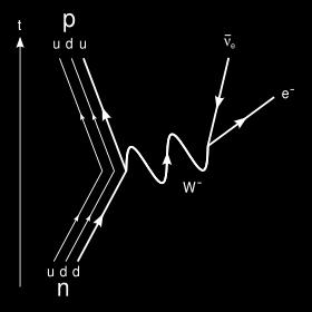 Spotlight on the W ± and Z 0 The existence of the W and Z was predicted in 1979 and confirmed at CERN in 1982.
