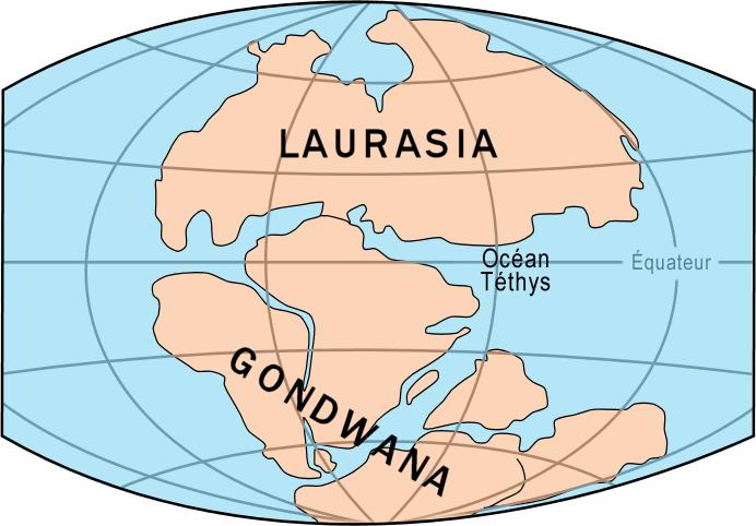 Slowly, due to magma convection currents deep within the mantle, Pangea broke into two large continents called
