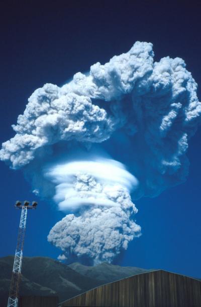The ascending, vertical part of the mass of erupting debris and