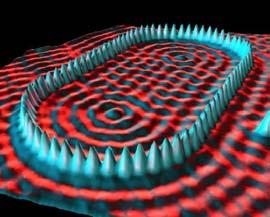 The ripples inside the ring reflect the electron quantum states of a