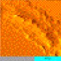 . Chromosome 155nm scan. Image courtesy of W. Blaine Stine 24 µm x 24 µm Data courtesy of D.
