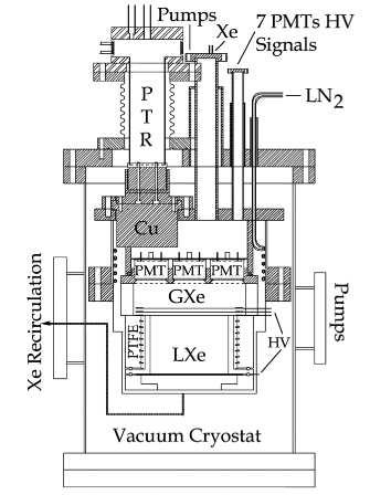 The XENON Dark Matter Experiment 5 Fig. 3. Schematic drawing of the dual phase prototype. Fig. 4. The detector integrated with the vacuum cryostat, refrigerator, gas/recirculation and DAQ systems.