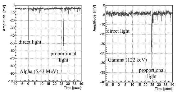 8 Elena Aprile (on behalf of the XENON collaboration) Fig. 8. Waveforms of direct and proportional light for an alpha recoil (left) and an electron recoil (right). of events are well differentiated.