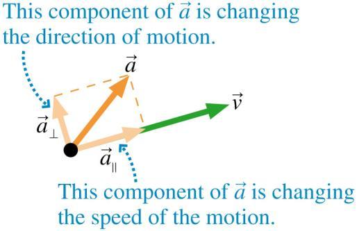 Analyzing the acceleration vector An object s acceleration can be decomposed into components parallel and perpendicular