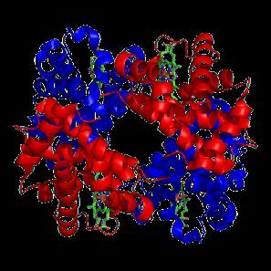 ) is to code for proteins A typical bacterium builds