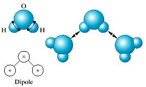 Example: hydrogen bond in water.