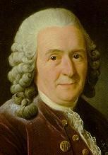 Modern System:Hierarchy Seven Levels of Organization Carolus Linnaeus (mid-1700 )s was a Swedish biologist who established a simple system for classifying and naming organisms.