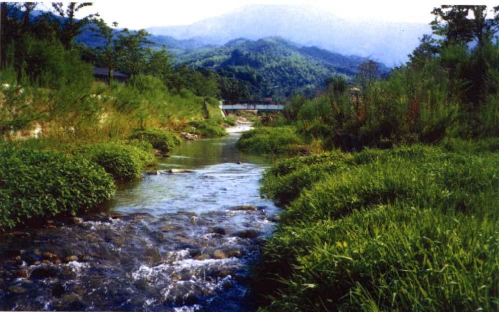 Rehabilitated Rivers in Jepun Nuki River