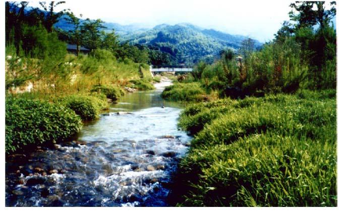 Nuki River, Japan 23 months after construction (July 1995).